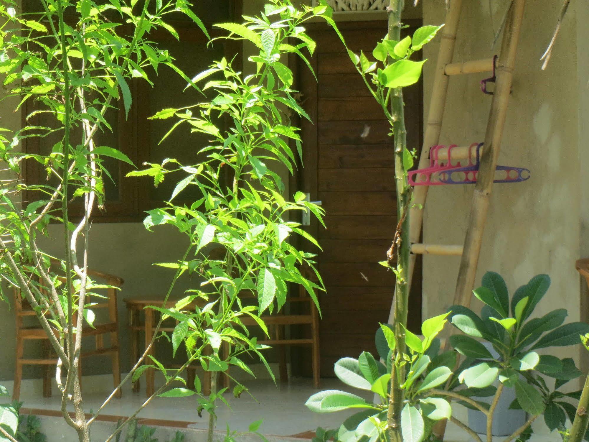 Amed Sari Beach Guesthouse ภายนอก รูปภาพ