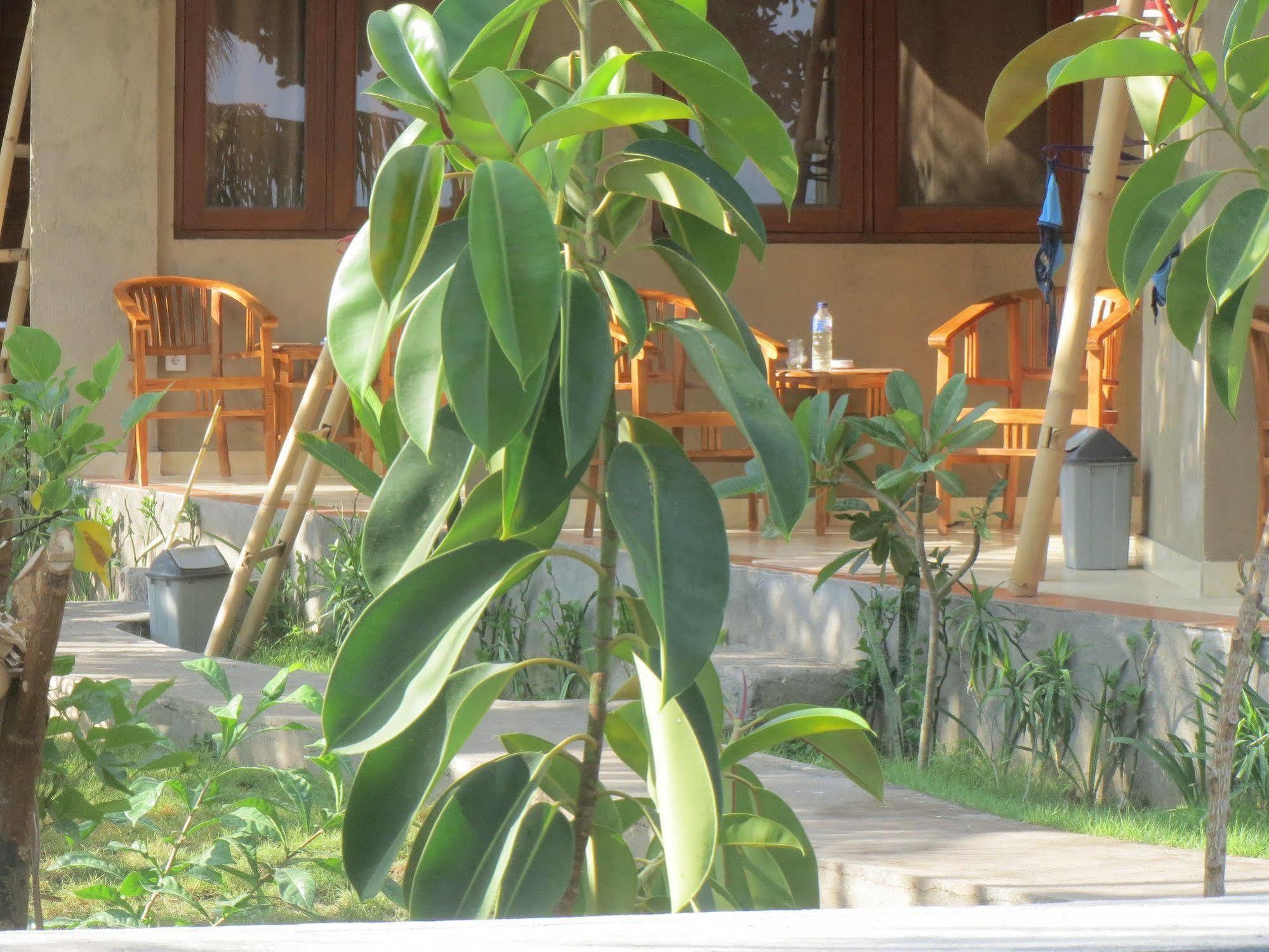 Amed Sari Beach Guesthouse ภายนอก รูปภาพ