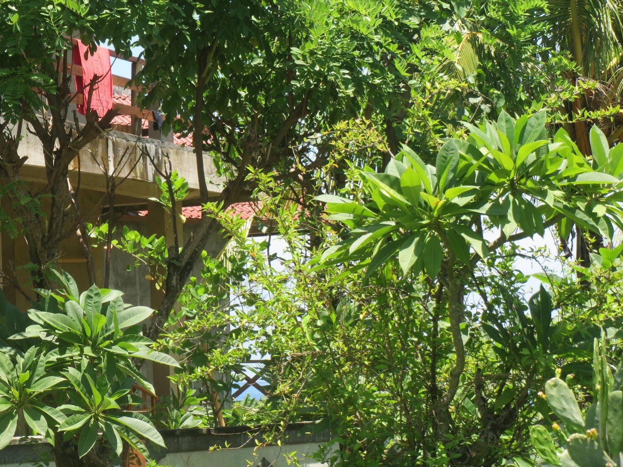 Amed Sari Beach Guesthouse ภายนอก รูปภาพ