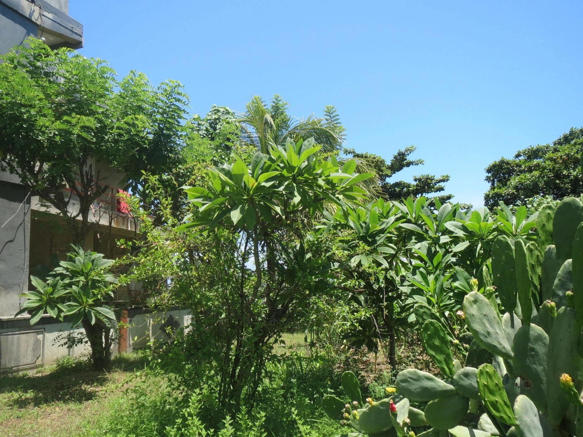 Amed Sari Beach Guesthouse ภายนอก รูปภาพ